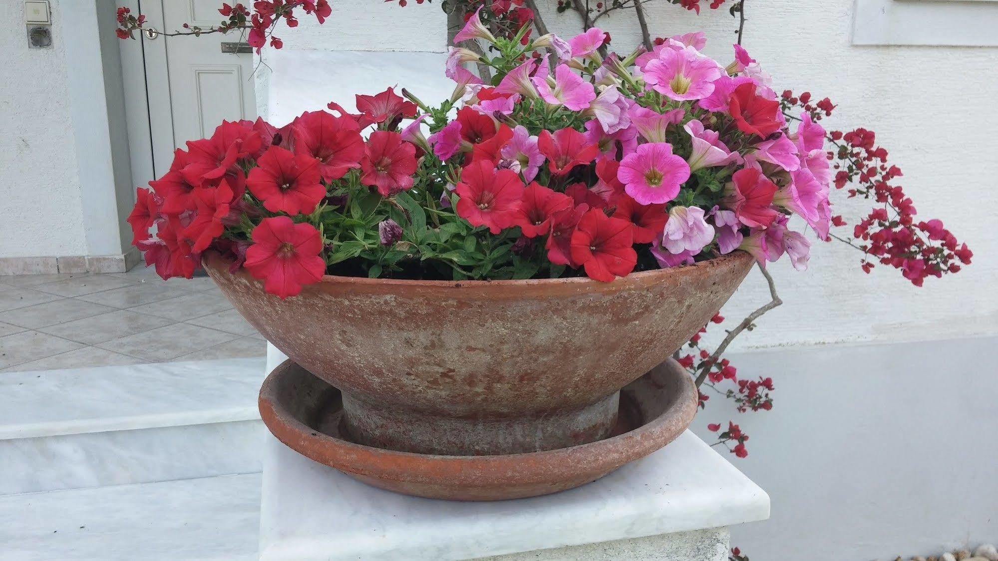 קונטואקלי Corfu Anastasia מראה חיצוני תמונה