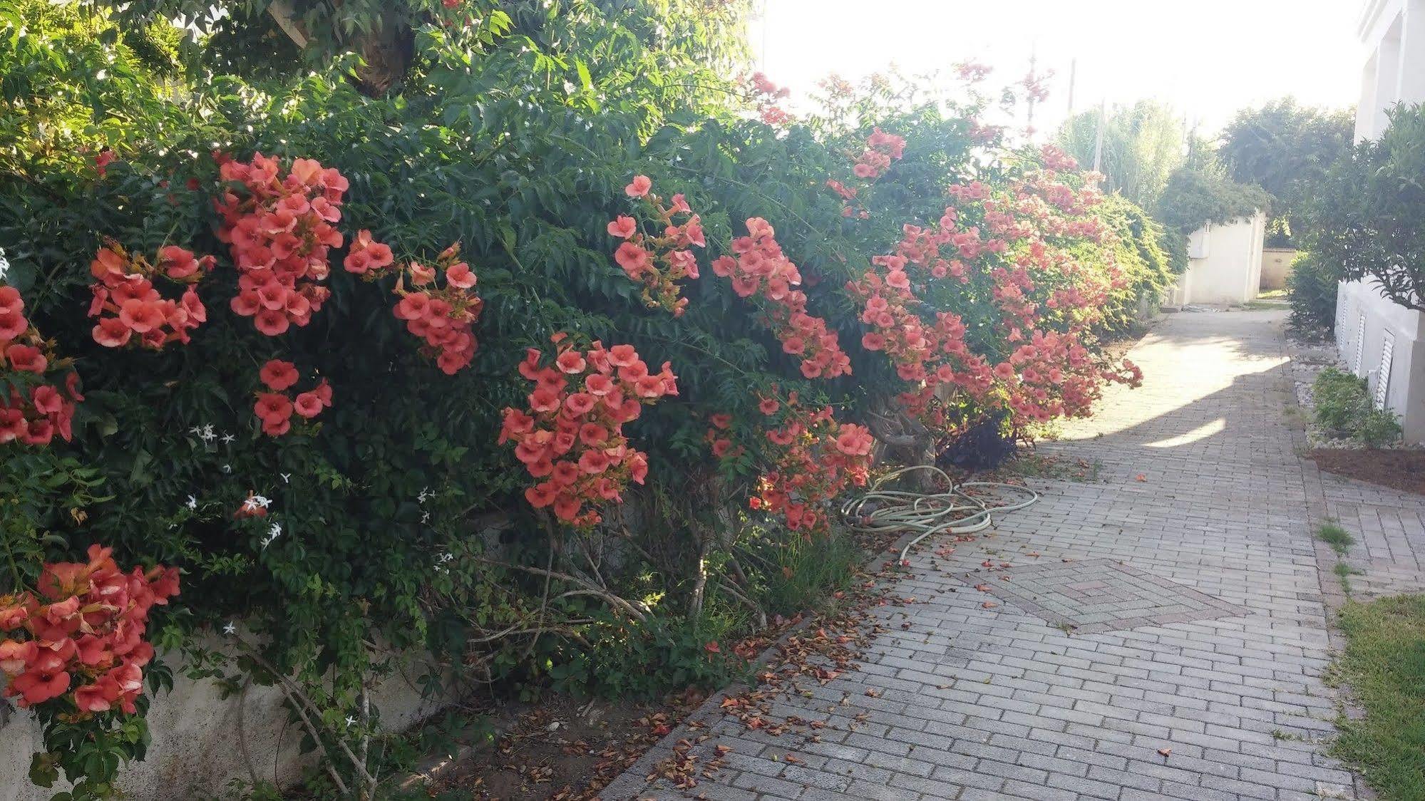 קונטואקלי Corfu Anastasia מראה חיצוני תמונה